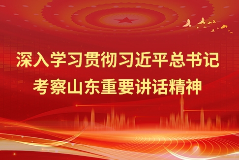 深入学习贯彻习近平总书记考察山东重要讲话精神